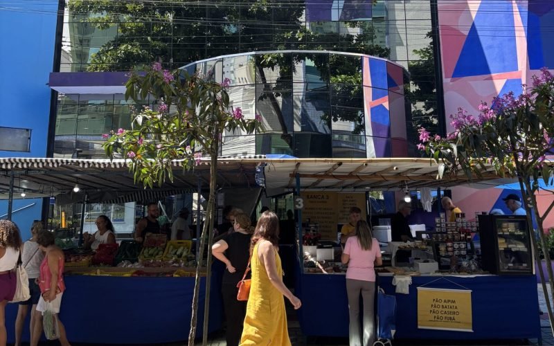 Feira da Rua 200 em Balneário Camboriú: tradição, sabores e produtos frescos